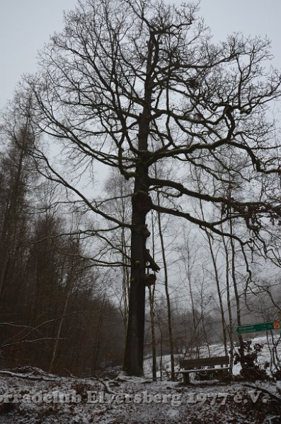 Wandertag 2017 - 059.JPG